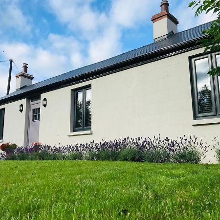 Lavender Cottage - 2 Bedroom Home Newbridge  Bagian luar foto