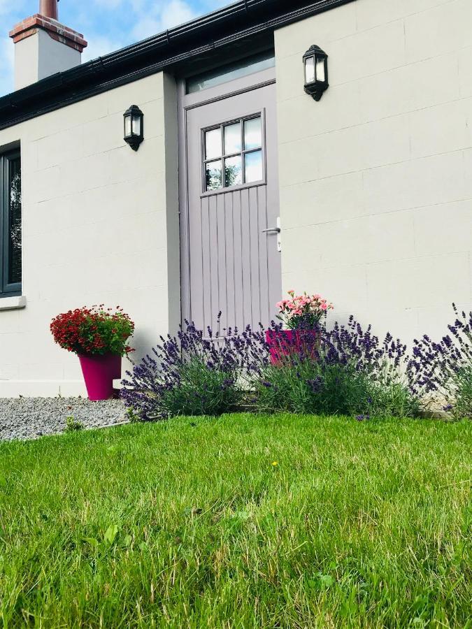 Lavender Cottage - 2 Bedroom Home Newbridge  Bagian luar foto